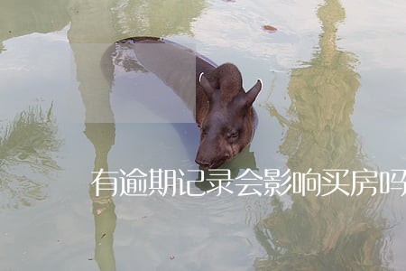有逾期记录会影响买房吗 有逾期记录会影响买房吗