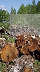 有逾期记录会影响孩子吗 有逾期记录会影响孩子吗