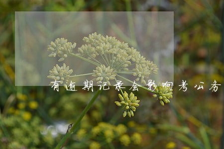 有逾期记录会影响考公务员吗