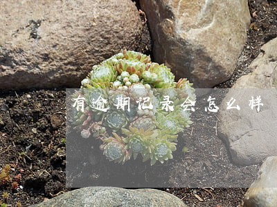 有逾期记录会怎么样 有逾期记录会怎么样