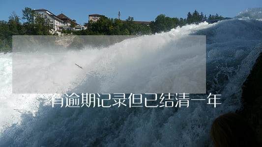 有逾期记录但已结清一年 有逾期记录但已结清一年