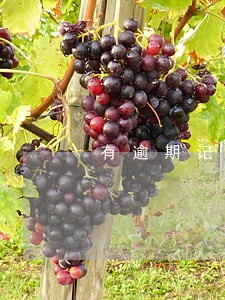 有逾期记录但是征信上显示零 有逾期记录但是征信上显示零