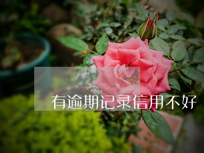 有逾期记录信用不好 有逾期记录信用不好