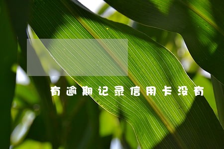 有逾期记录信用卡没有 有逾期记录信用卡没有