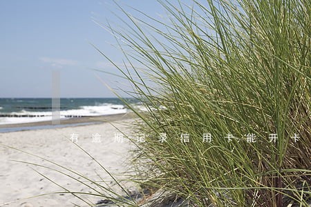 有逾期记录信用卡能开卡吗 有逾期记录信用卡能开卡吗