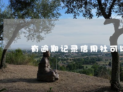 有逾期记录信用社可以贷款吗 有逾期记录信用社可以贷款吗