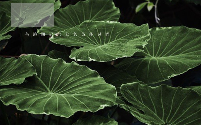 有逾期记录公务员能过吗 有逾期记录公务员能过吗