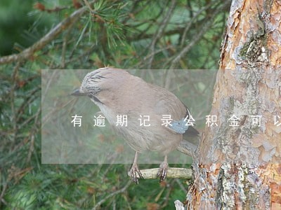 有逾期记录公积金可以贷款吗 有逾期记录公积金可以贷款吗