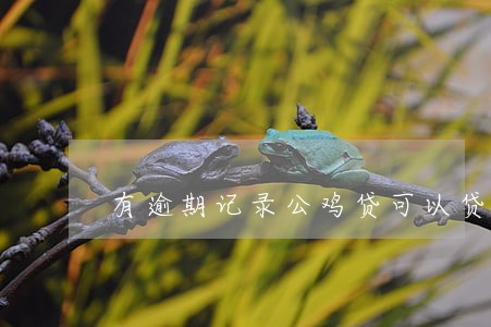 有逾期记录公鸡贷可以贷吗 有逾期记录公鸡贷可以贷吗