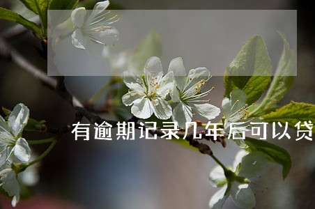 有逾期记录几年后可以贷款 有逾期记录几年后可以贷款