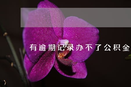 有逾期记录办不了公积金贷款 有逾期记录办不了公积金贷款