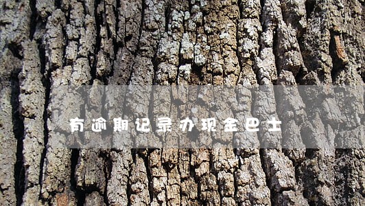 有逾期记录办现金巴士 有逾期记录办现金巴士