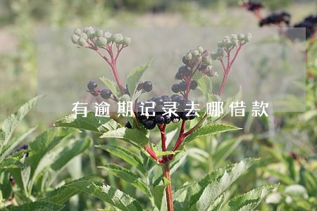 有逾期记录去哪借款 有逾期记录去哪借款