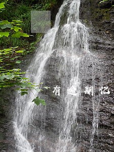 有逾期记录可以买保险吗 有逾期记录可以买保险吗