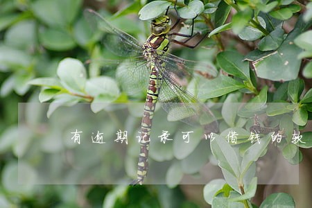 有逾期记录可以借钱的软件 有逾期记录可以借钱的软件