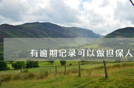 有逾期记录可以做担保人么 有逾期记录可以做担保人么