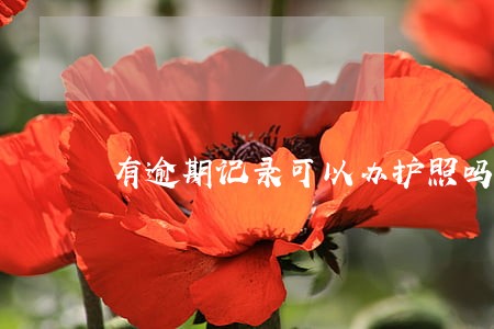 有逾期记录可以办护照吗