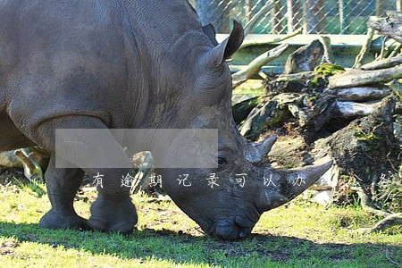 有逾期记录可以办理公务卡吗 有逾期记录可以办理公务卡吗