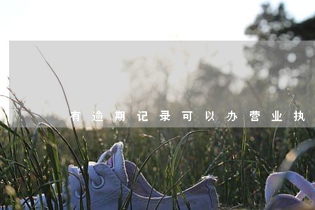 有逾期记录可以办营业执照吗