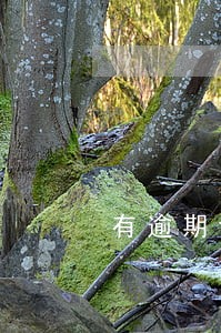 有逾期记录可以办贷款吗 有逾期记录可以办贷款吗