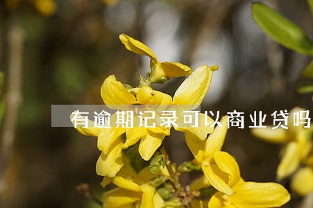 有逾期记录可以商业贷吗