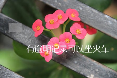 有逾期记录可以坐火车 有逾期记录可以坐火车