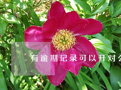 有逾期记录可以开对公账户吗 有逾期记录可以开对公账户吗