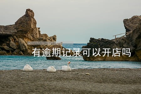 有逾期记录可以开店吗 有逾期记录可以开店吗
