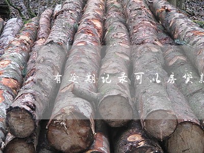 有逾期记录可以房贷款 有逾期记录可以房贷款