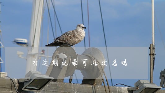 有逾期记录可以改名吗 有逾期记录可以改名吗