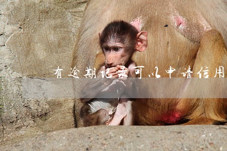 有逾期记录可以申请信用卡 有逾期记录可以申请信用卡