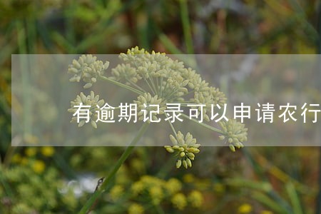 有逾期记录可以申请农行装修贷吗 有逾期记录可以申请农行装修贷吗