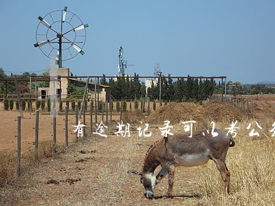有逾期记录可以考公务员 有逾期记录可以考公务员