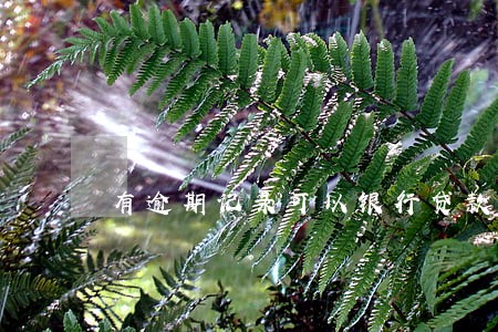 有逾期记录可以银行贷款吗 有逾期记录可以银行贷款吗