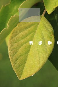 有逾期记录可以销卡吗 有逾期记录可以销卡吗