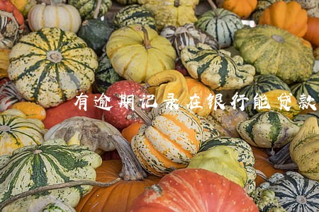 有逾期记录在银行能贷款吗 有逾期记录在银行能贷款吗