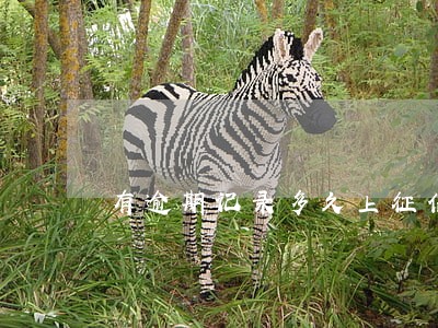 有逾期记录多久上征信 有逾期记录多久上征信