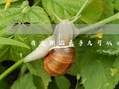 有逾期记录多久可以办房贷 有逾期记录多久可以办房贷