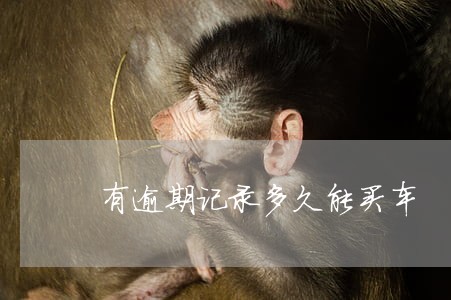有逾期记录多久能买车 有逾期记录多久能买车