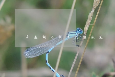 有逾期记录多久能恢复 有逾期记录多久能恢复