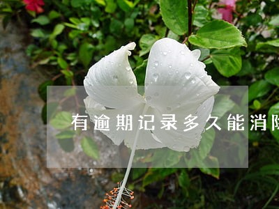 有逾期记录多久能消除 有逾期记录多久能消除