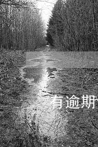 有逾期记录就不能贷款买车 有逾期记录就不能贷款买车