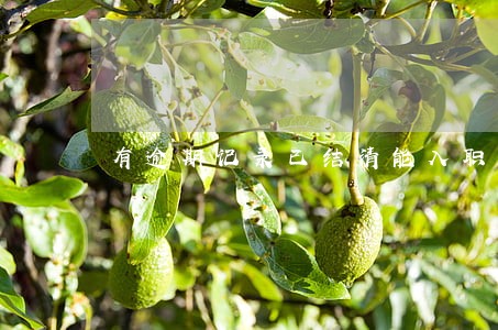有逾期记录已结清能入职吗 有逾期记录已结清能入职吗