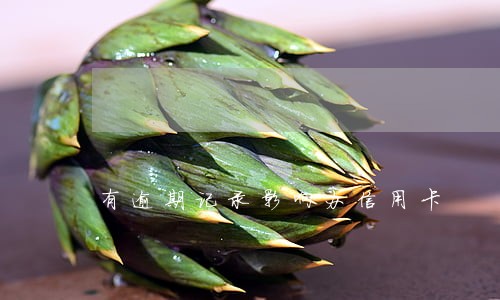 有逾期记录影响办信用卡 有逾期记录影响办信用卡