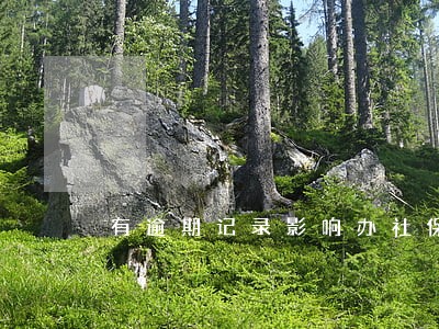 有逾期记录影响办社保吗 有逾期记录影响办社保吗