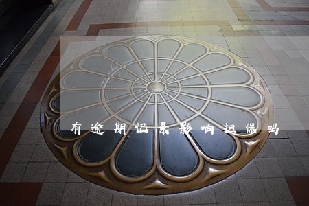 有逾期记录影响担保吗