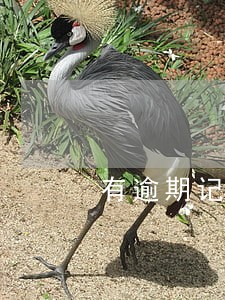 有逾期记录影响首套购房吗 有逾期记录影响首套购房吗