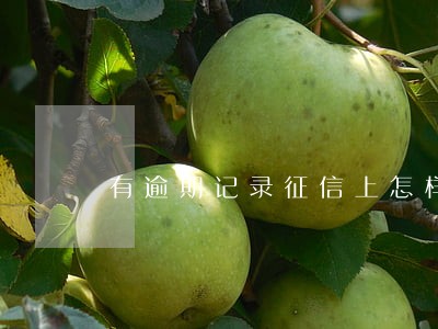 有逾期记录征信上怎样显示