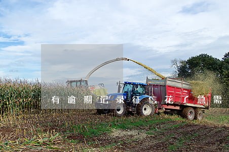 有逾期记录征信花了急需贷款 有逾期记录征信花了急需贷款