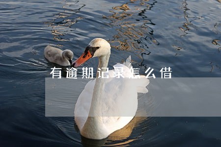 有逾期记录怎么借